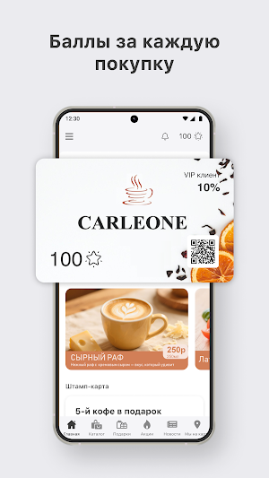 Carleone Screenshot 0