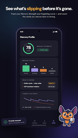 EchoDecks: AI Audio Flashcards Screenshot 3