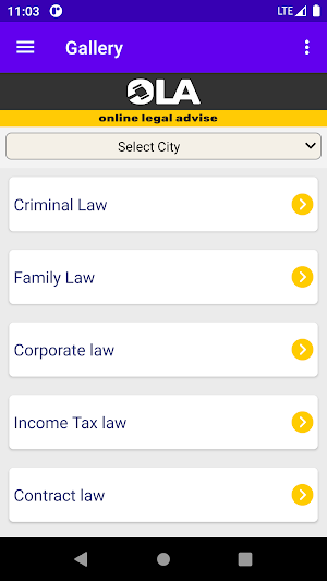 Online Legal Advise Screenshot 3