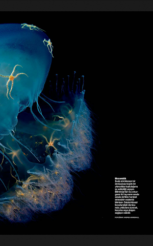 National Geographic Türkiye Screenshot 3