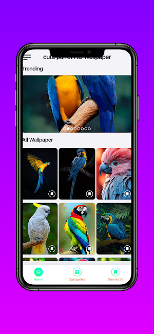 cute parrots HD wallpapers Screenshot 1