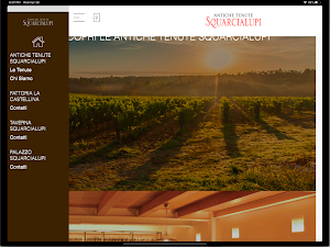 Squarcialupi Screenshot 3