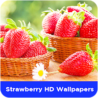 Strawberry HD Wallpapers