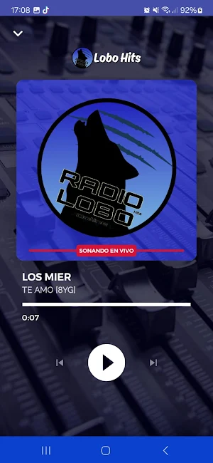 Lobo Hits Radio Usa Screenshot 2