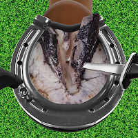 Horse Hoof Trimming & cleaning
