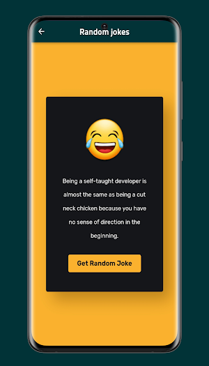 programmer jokes Screenshot 2