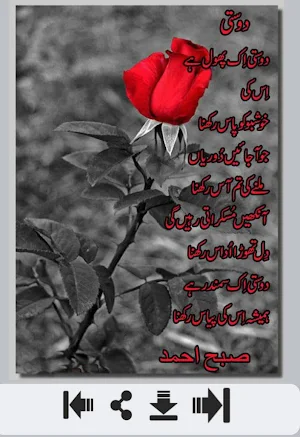 Dosti Shayri Screenshot 1
