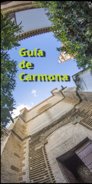 APP CARMONA OFICIAL Screenshot 0