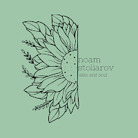 Noam Stoliarov