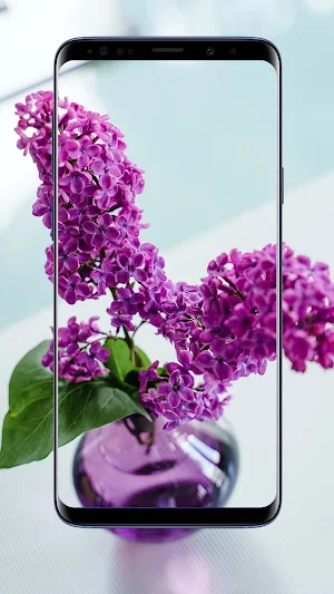 Lilac Flower Wallpapers Screenshot 1