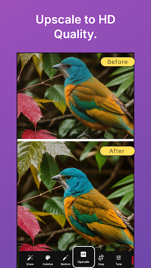 Colora: Old Photo Colorizer AI Screenshot 2