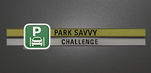 Park Savvy Challenge Screenshot 3