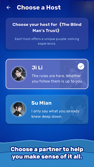 Seagull Soup: Mystery Puzzles Screenshot 3