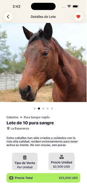 Tu Rebaño Screenshot 3