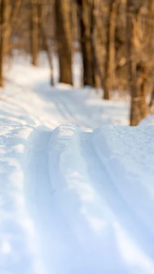 Cross country Skiing Wallpaper Screenshot 2