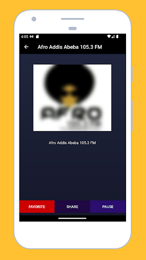 Radio Ethiopia FM: All Station Screenshot 3