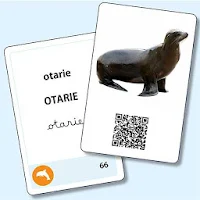 Lecteur Vocabulaire Maternelle