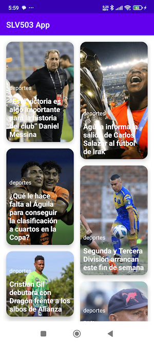 SLV503 Screenshot 1