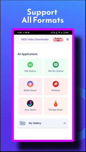 MDS Video Downloader Screenshot 0