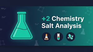 +2 Chemistry Salt Analysis Screenshot 0