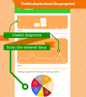 Smokers Diary Screenshot 2