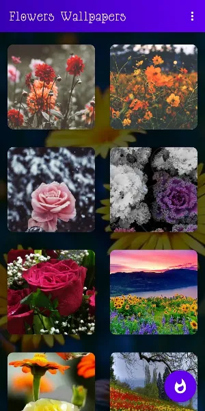 🌺🌹🌷 Flowers Wallpapers : Colorful Flowers Bgs Screenshot 3