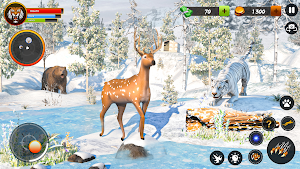 Tiger Games Wild Animal Games Screenshot 1