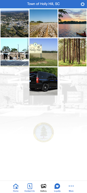Town of Holly Hill, SC Screenshot 0