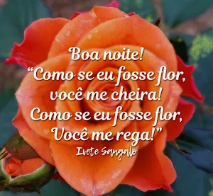 Mensagem De Boa Noite Screenshot 0
