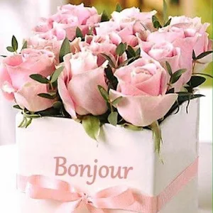 Bonjour Images Screenshot 3