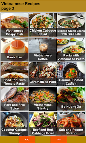 Vietnamese Recipes Offline Screenshot 2