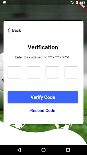Let's Play Soccer Screenshot 2