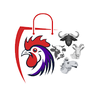 Mavashi Mandi