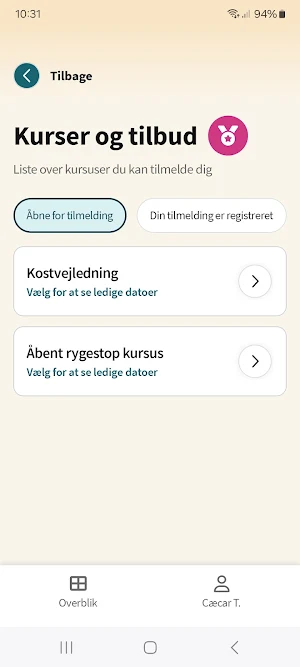 Borgerportalen Screenshot 2