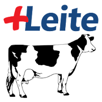 Matsuda +Leite