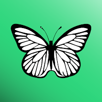 Butterfly Flight