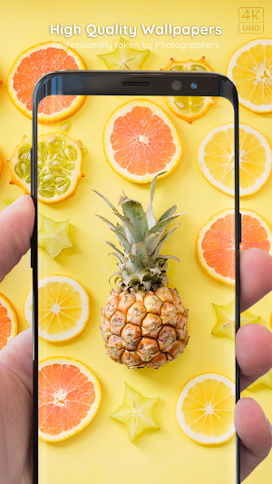 Flatlay Wallpapers 8K ULTRA Screenshot 1