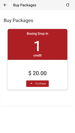Raul Marquez Boxing & Fitness Screenshot 2