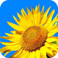 Gallery - HD Photo Gallery App
