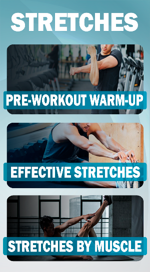 Stretching Workout Flexibility Screenshot 0