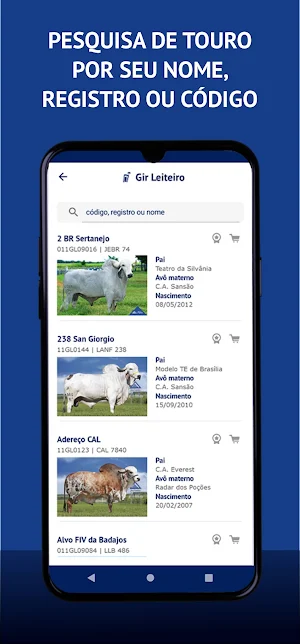 Alta Brasil Screenshot 1
