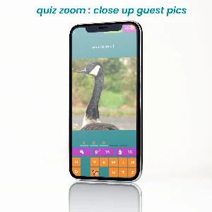 Quiz zoom:Close Up guest Pics Screenshot 0