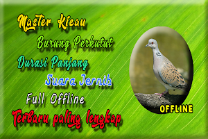 Suara Burung Perkutut Juara MP3 Screenshot 3