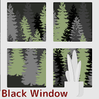 Black Window