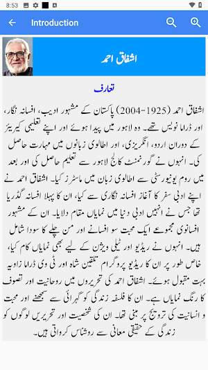 Urdu Novels Screenshot 3