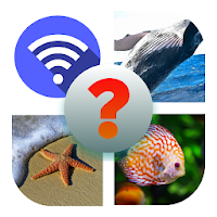 4 Picture Quiz: 4 Pics 1 Word