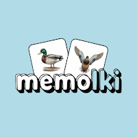 memolki • birds