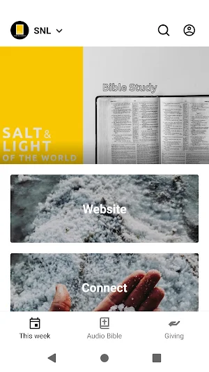salt and light US Screenshot 0