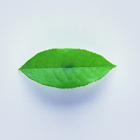 White Minimal HD Theme Wallpap