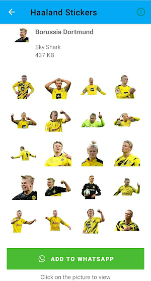Haaland Stickers Screenshot 1